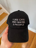 I Like Cats And Maybe 3 People Hat