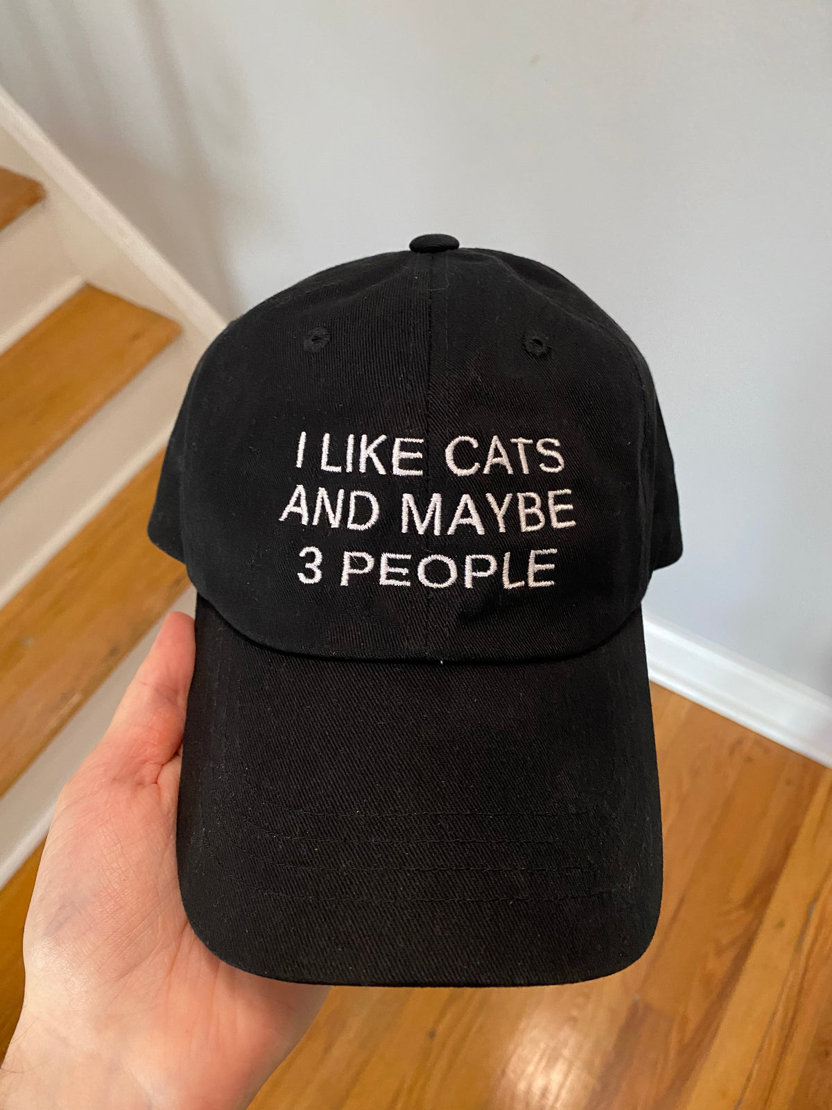 I Like Cats And Maybe 3 People Hat